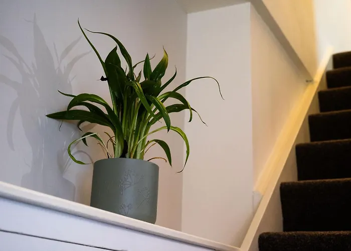 Flanders House - Centre *