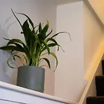 Flanders House - Centre *