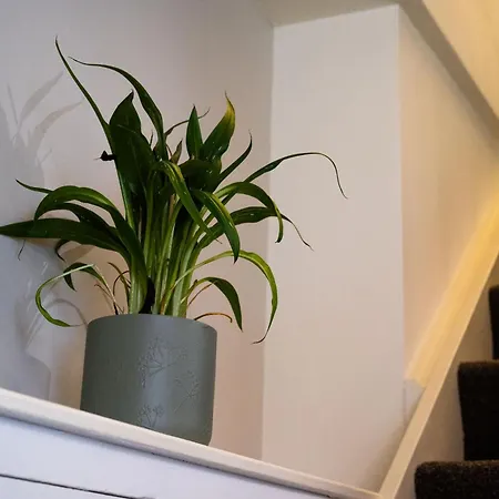 Flanders House - Centre *